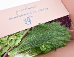 Frischekiste Bunte Vielfalt