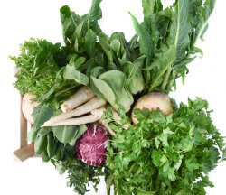 Frischekiste Bunte Vielfalt