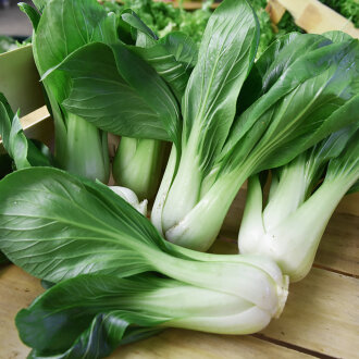 Frischekiste Pak Choi 250 g