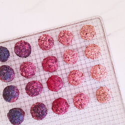 grünhopper bunnycorn