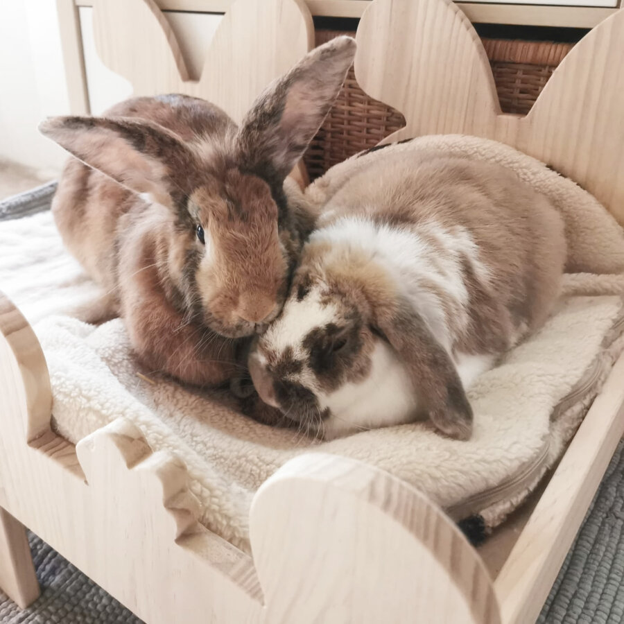 Hopplwerk bed Klopfer