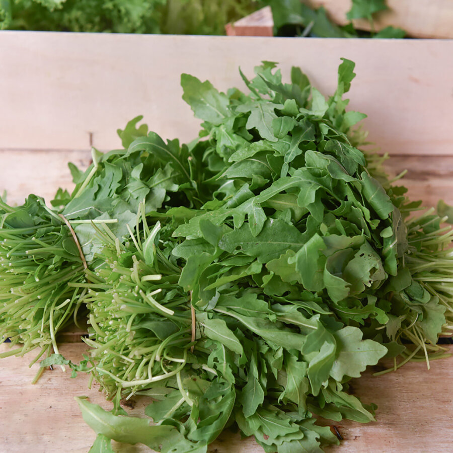 Frischekiste Rucola