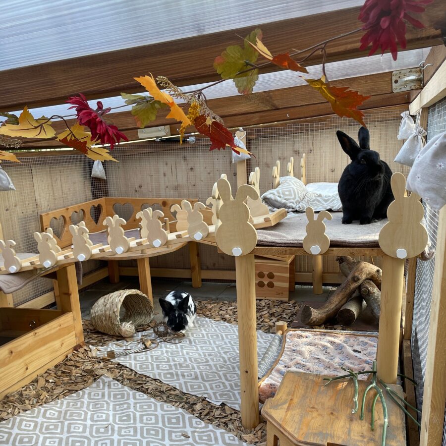 Hopplwerk Holzhasen ACHTUNG Ohne Schwanz aktuell