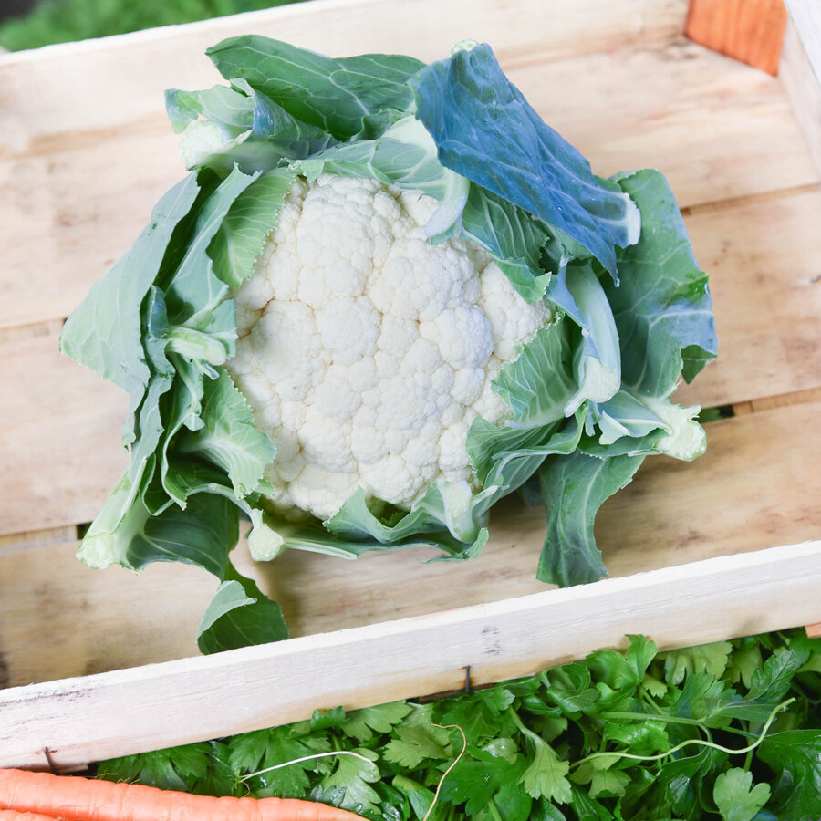 Frischekiste Blumenkohl 1 Stück