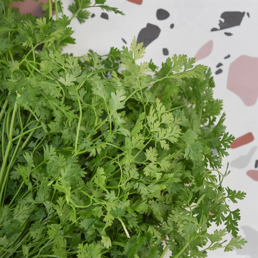 Frischekiste Kerbel 200 g