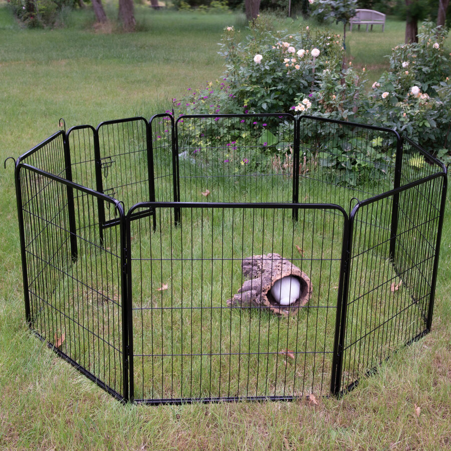 Erweiterung "Spielraum"