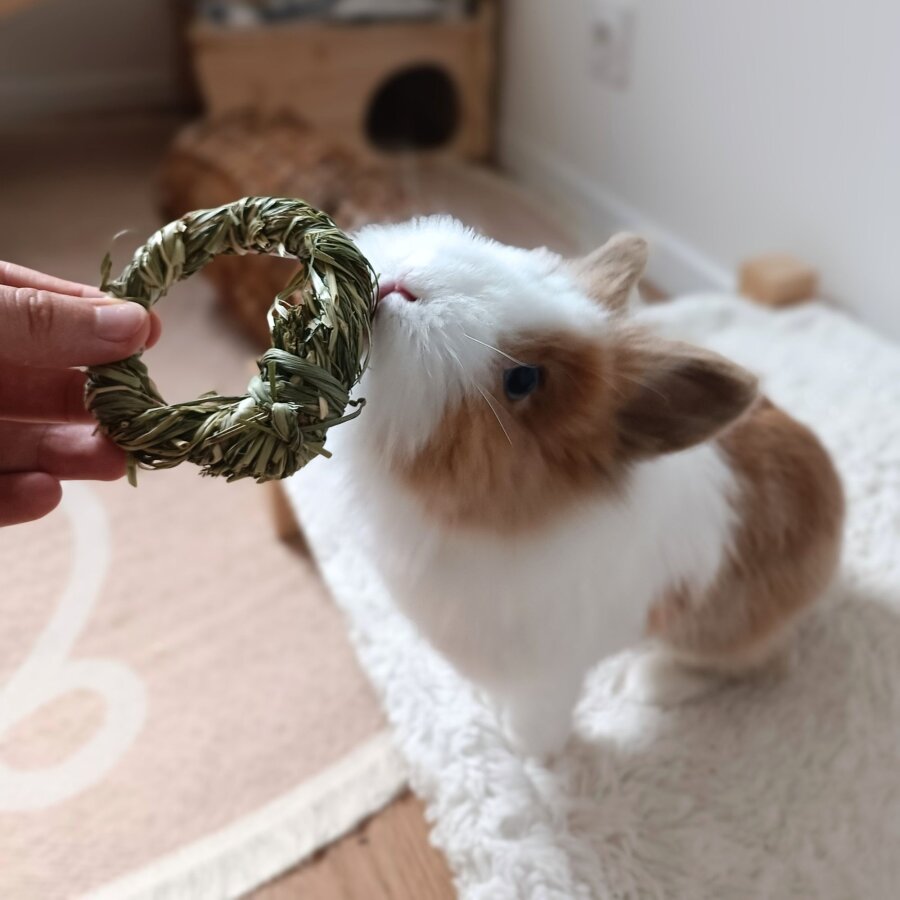 3 er Set Ringe aus Timothy Heu