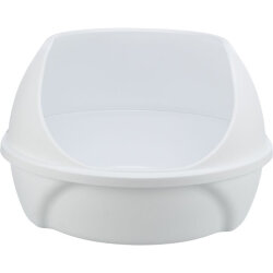 toilette bowl