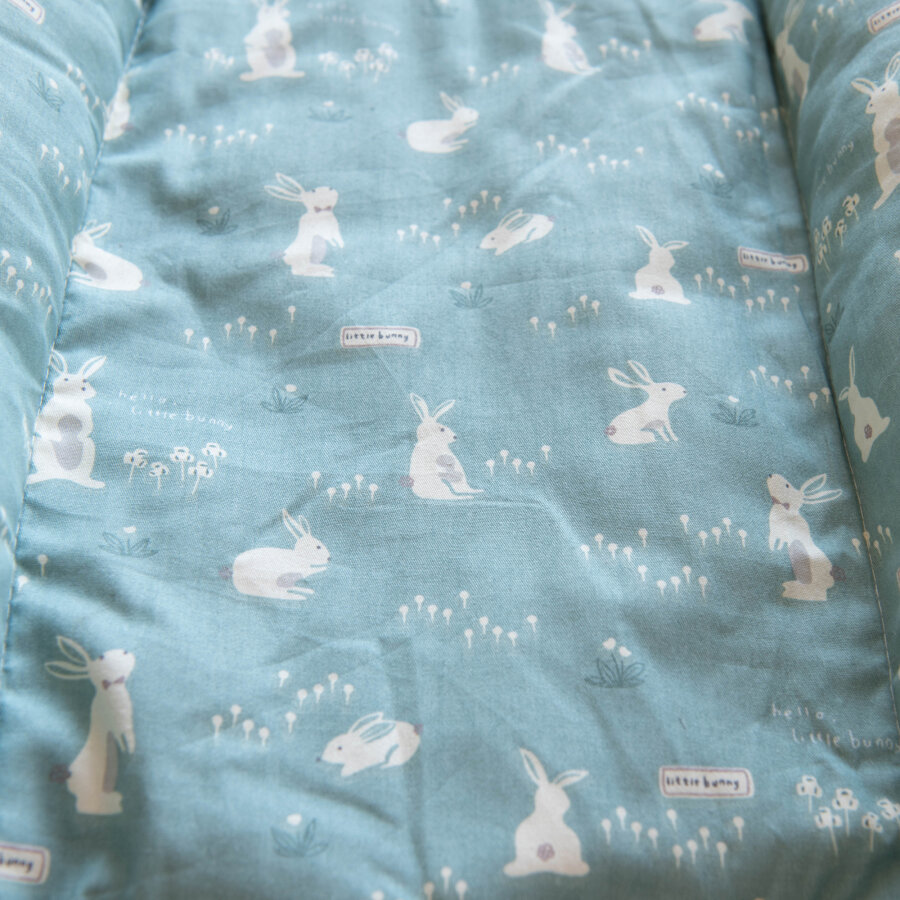 Plumpsi Basic Edition