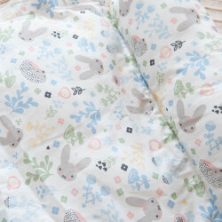 Plumpsi Basic Edition