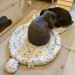 snuggle pad