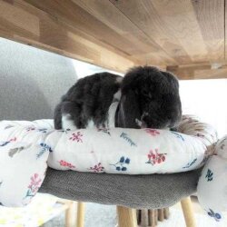 snuggle pad Streublume