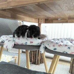 snuggle pad Streublume