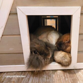 Finnhütte "chill cottage"