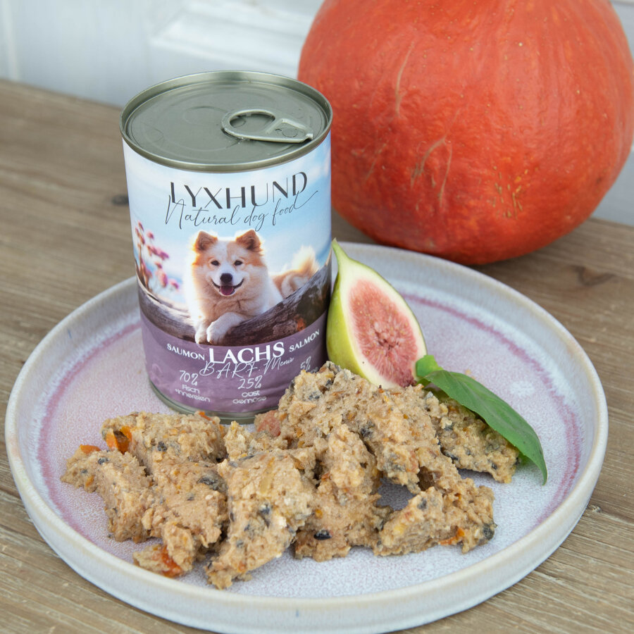 Lachs B.A.R.F. Menü