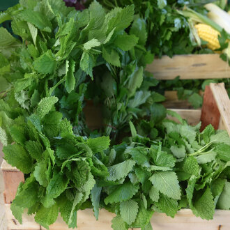 Frischekiste Melisse 200 g