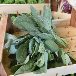 Frischekiste Salbei 200 g