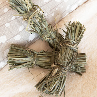 Nur jetzt! Timothy B&uuml;ndel