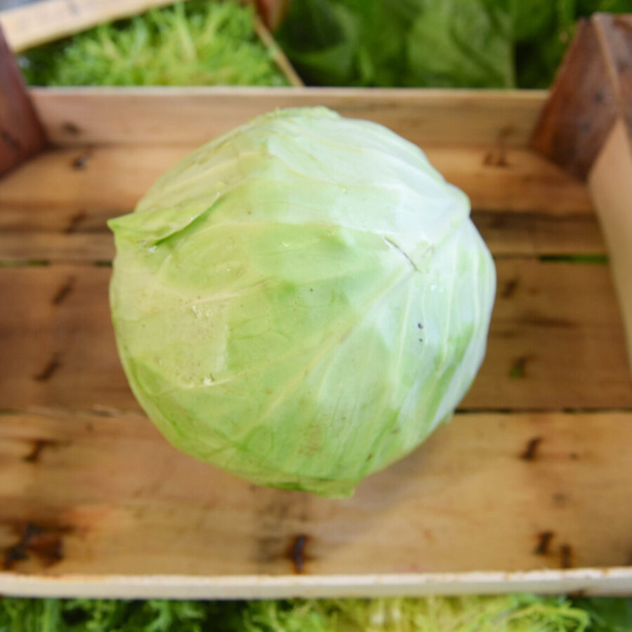 Frischekiste Weißkohl 1 Stück