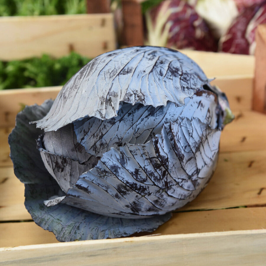 Frischekiste Rotkohl 1 Stück