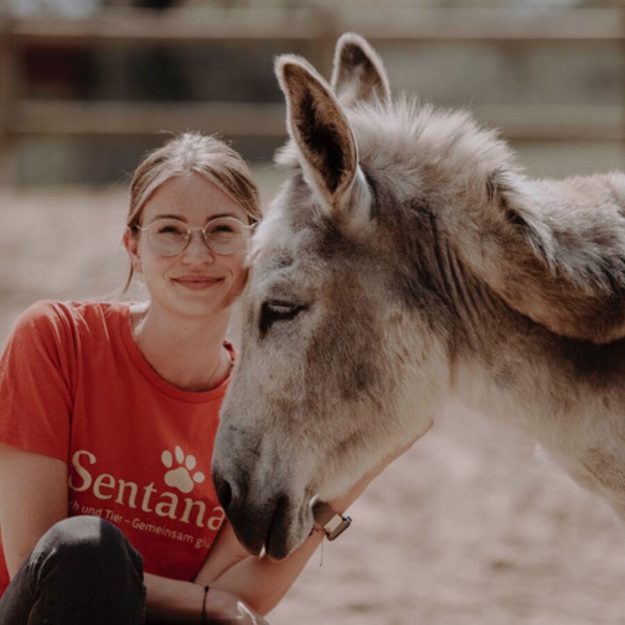 Spendenaktion - Sentana Stiftung