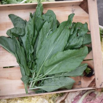 Frischekiste Sauerampfer 200 g