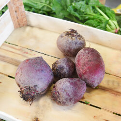 Frischekiste rote Beete 500 g