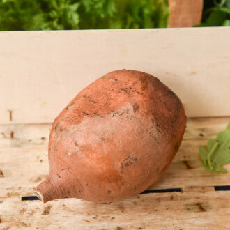 Frischekiste Süßkartoffel 500 g