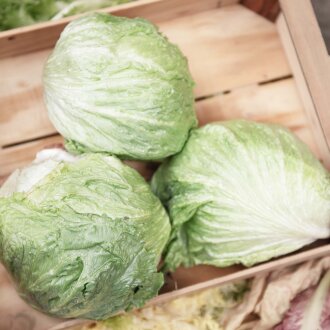 Frischekiste Eisbergsalat