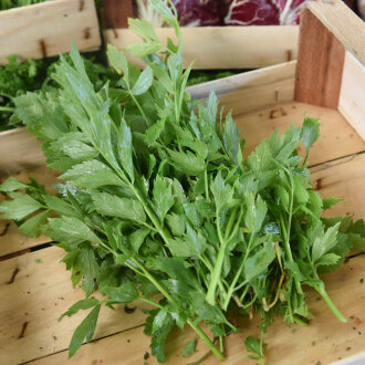 Frischekiste Liebstöckel 200 g