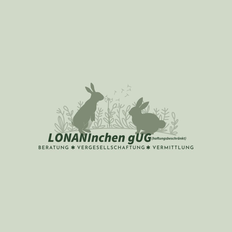 Spendenaktion - LONANInchen gUG