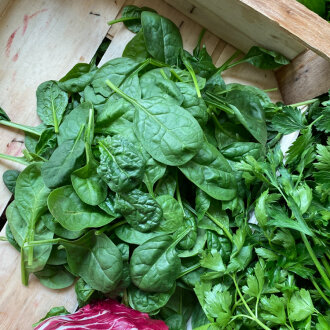 Frischekiste Babyspinat 125 g