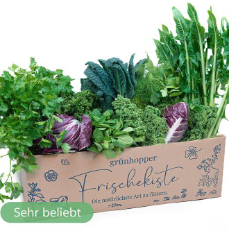 Frischekiste Best of Box