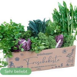 Frischekiste Best of Box