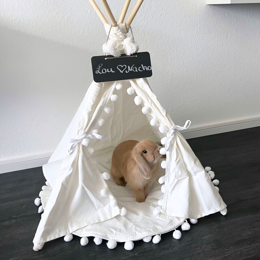 Tipi boho