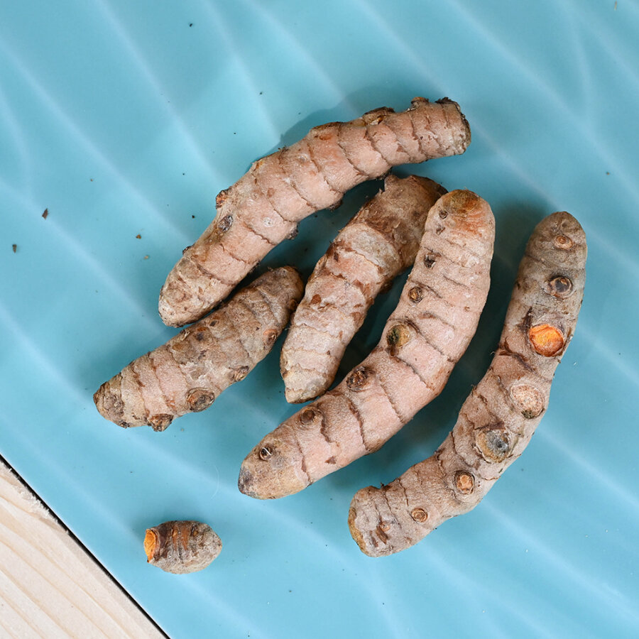 Frischekiste Kurkuma unbehandelt 100 g