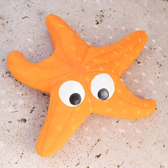 Sommeredition "Sternchen"