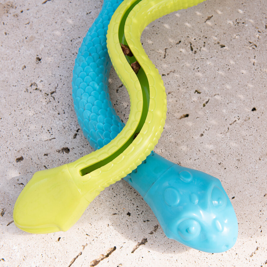 Sommeredition "Schlangenversteck"