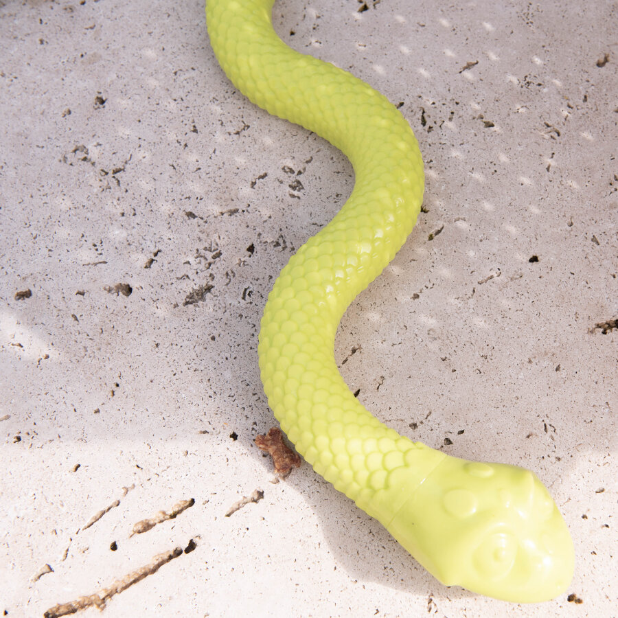 Sommeredition "Schlangenversteck"