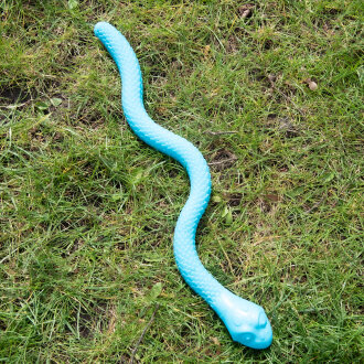 Sommeredition "Schlangenversteck"