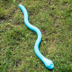 Sommeredition "Schlangenversteck"