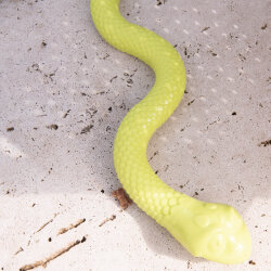 Sommeredition "Schlangenversteck"