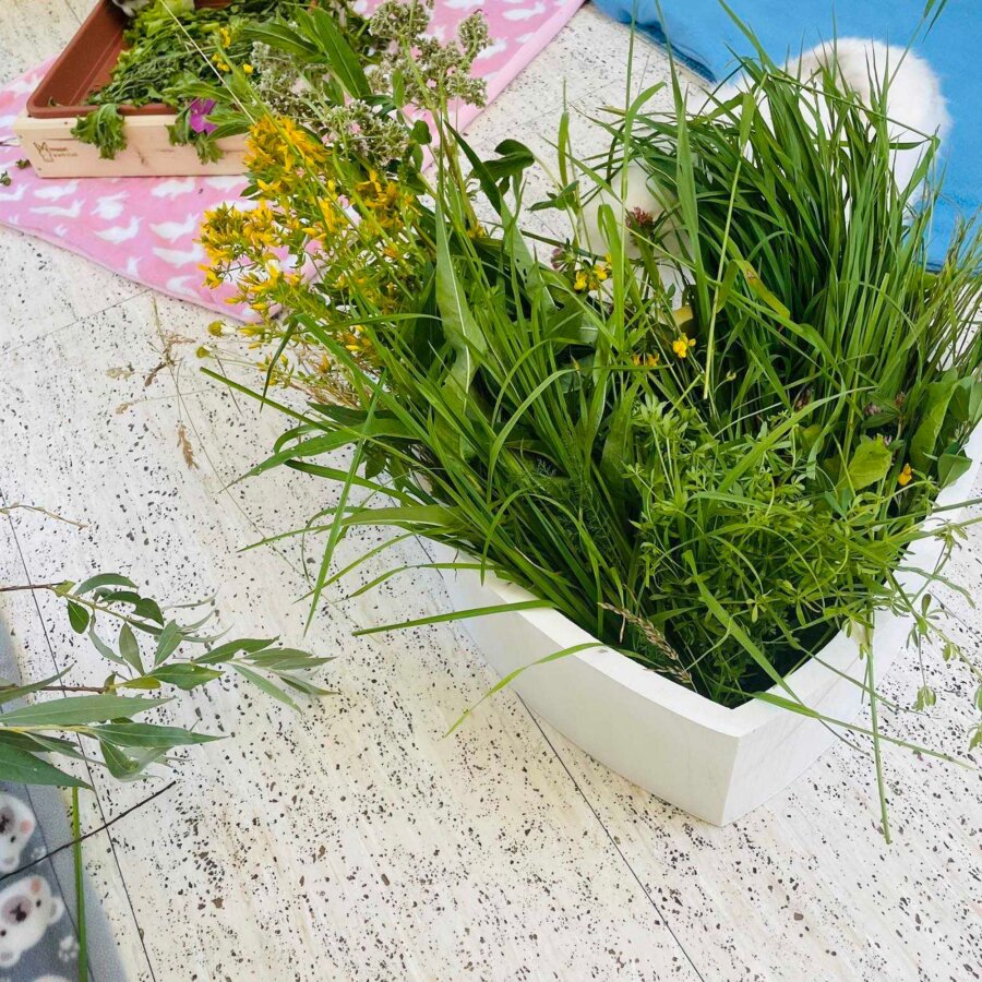 Frischfutterbehälter Herzchen