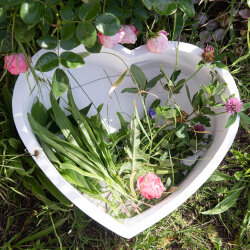 Frischfutterbehälter Herzchen