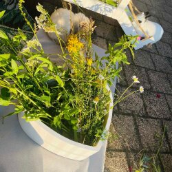 Frischfutterbehälter Herzchen