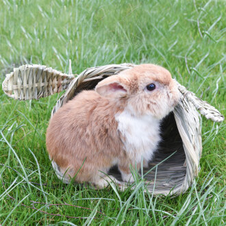 Schilfkuschelhöhle mit Öhrchen