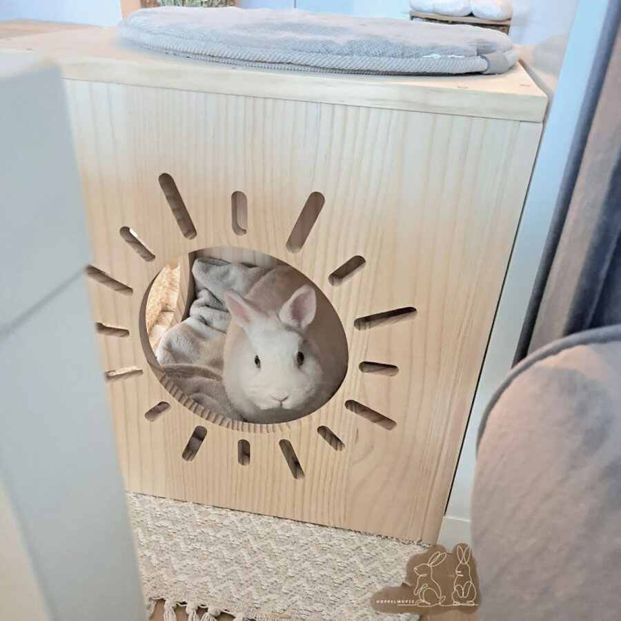 Hopplwerk Haus heaven