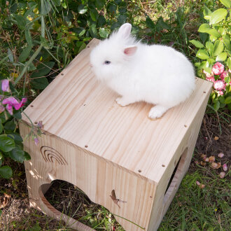 Hopplwerk Haus heaven