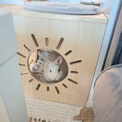 Hopplwerk Haus heaven