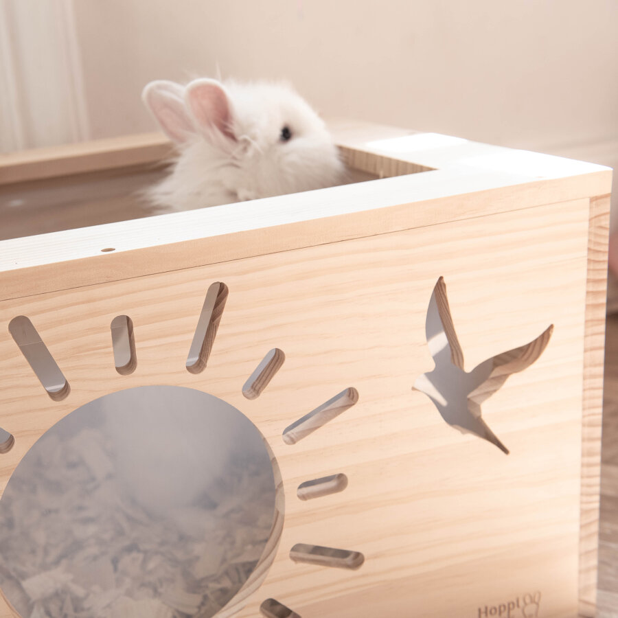 Hopplwerk Buddelkiste für Plastikboxen "heaven"